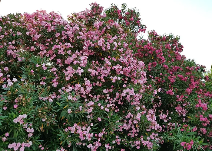 Apartamento Modern Reventino - Le Lincelle, Lamezia